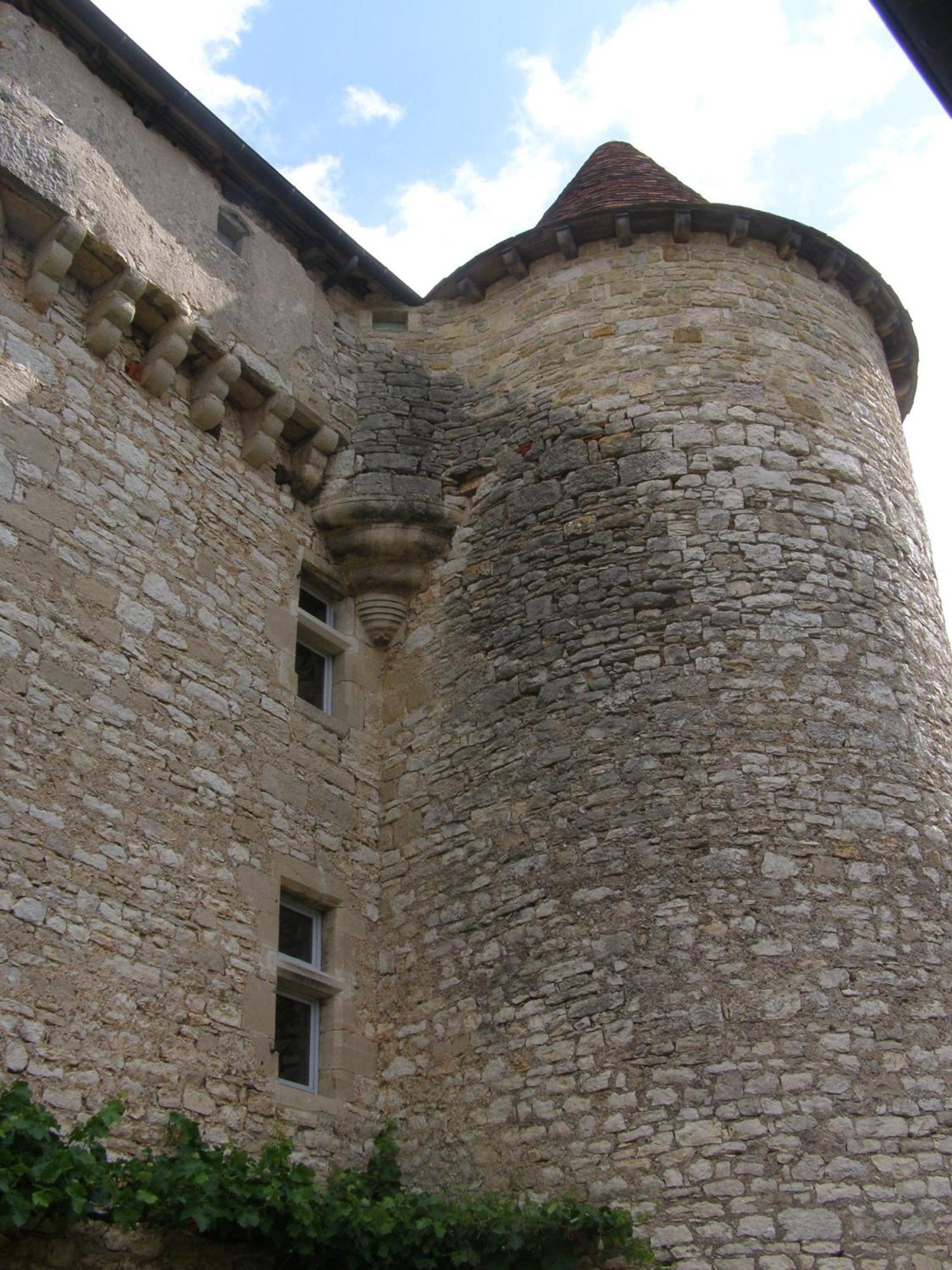 Chateau De Camboulan Ambeyrac Eksteriør billede