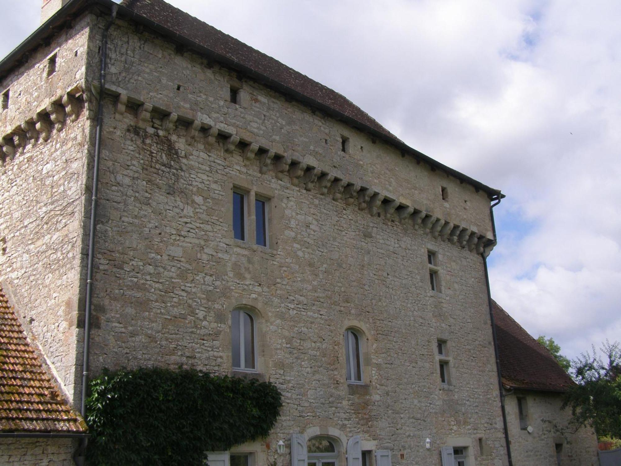 Chateau De Camboulan Ambeyrac Eksteriør billede