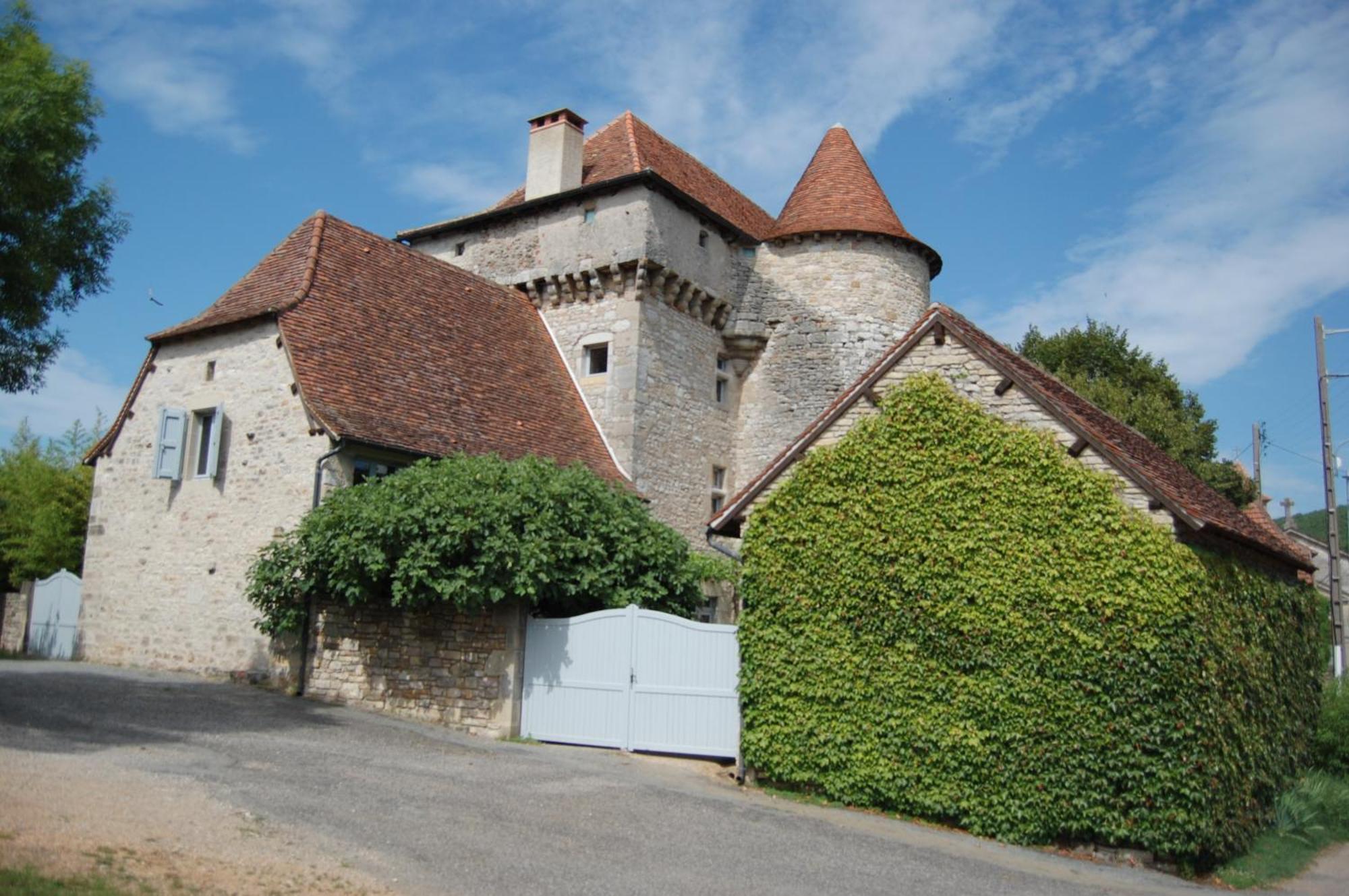 Chateau De Camboulan Ambeyrac Eksteriør billede