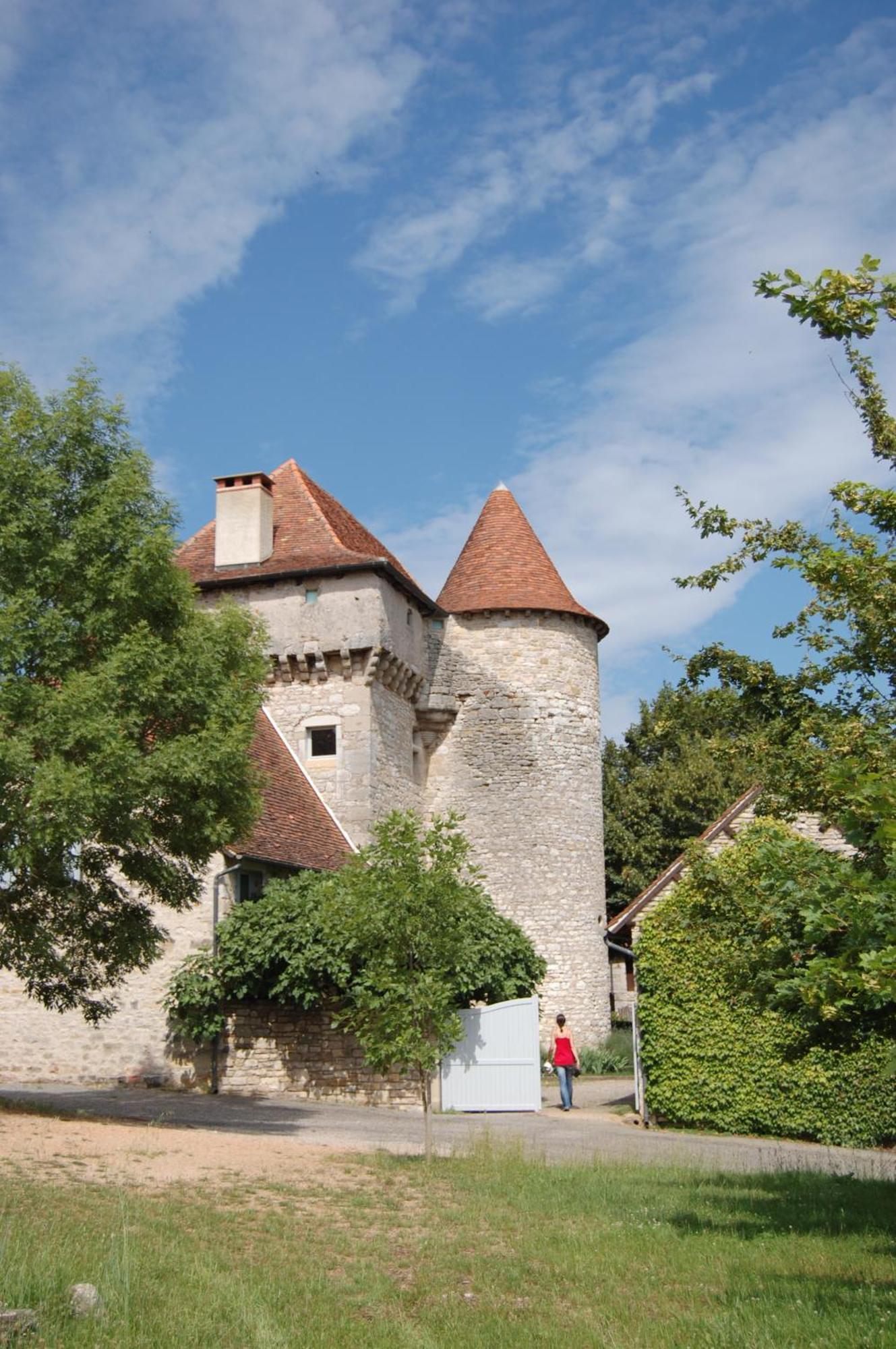 Chateau De Camboulan Ambeyrac Eksteriør billede